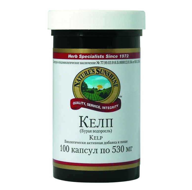 Келп – бурая водоросль